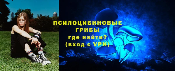 мяу мяу мука Белокуриха