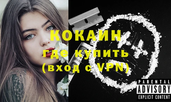 мяу мяу мука Белокуриха