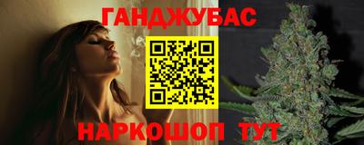 сатива Гай