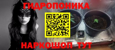 сатива Гай