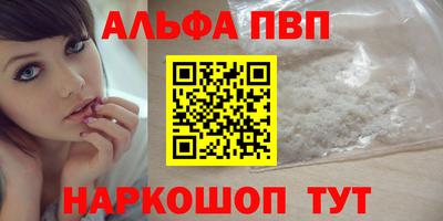 сатива Гай