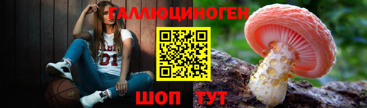 Псилоцибиновые грибы мухоморы Изобильный